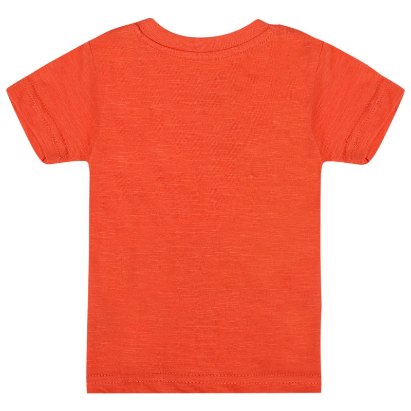 Bodycare Boys Cotton Round Neck Half Sleeves T-Shirt