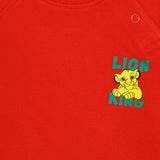 Baby Boys French Terry Printed Full Sleeve Sweatshirt with Soft Cotton Winter Comfort for Casual Wear