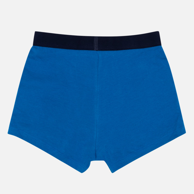 Bodycare Boys Trunk Solid Pack Of 3 - Royal Blue & Multicolor