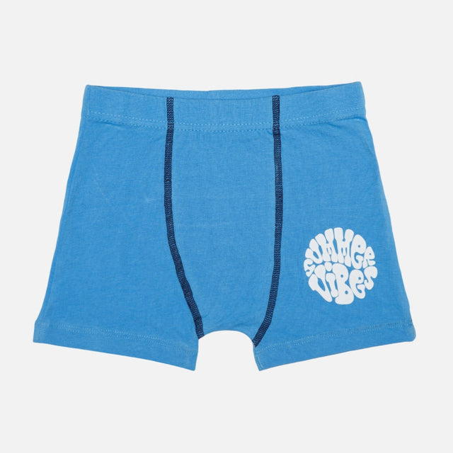 Boys Cotton Spandex Trunk Inner Elastic Stretch Pack of 2 - Bodycare