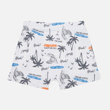 Boys Cotton Spandex Trunk Inner Elastic Stretch Pack of 2 - Bodycare