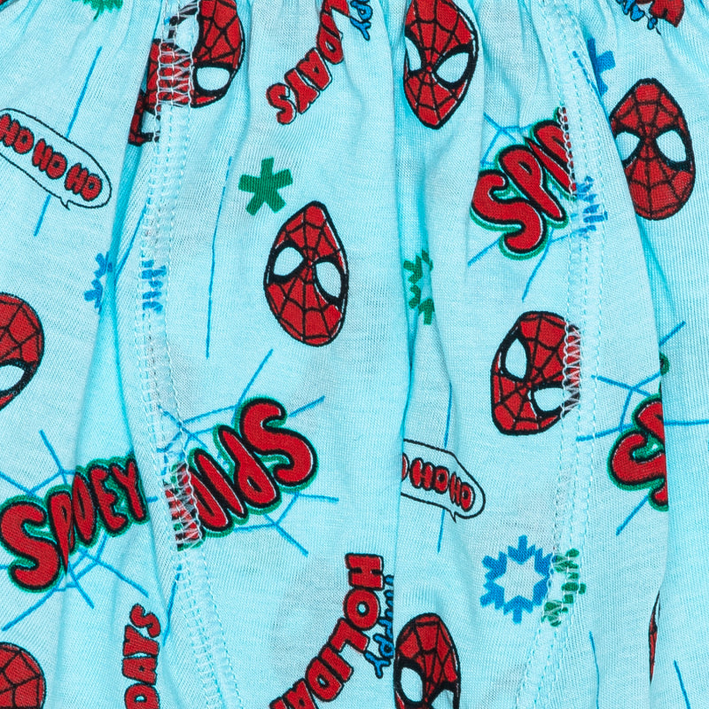 Bodycare Spiderman Boys Trunk Assorted Pack Of 4