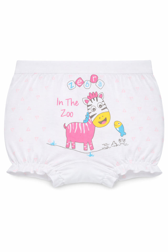 Unisex Cotton Spandex Bloomer Stretch Lycra Band Pack of 6 - Bodycare