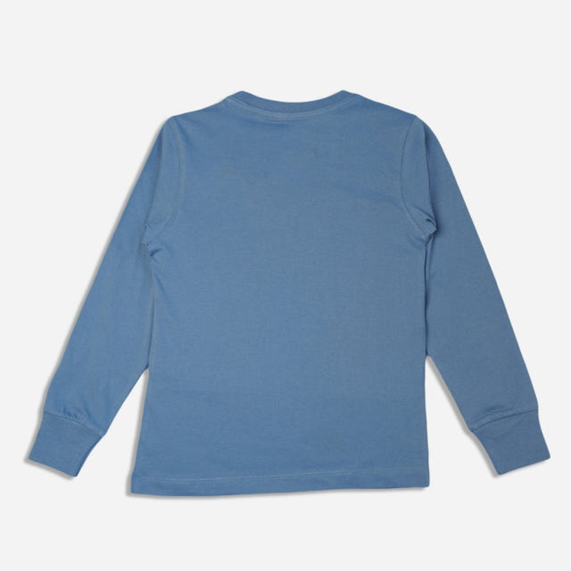 Men Cotton Round Neck T-Shirt with Full Sleeves for Casual Wear, Easy Layering and Regular Wardrobe Use
