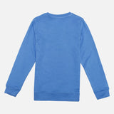 Avengers Boys Sweatshirt - Bodycare