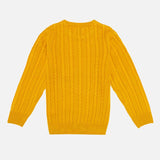 Boys Soft Cotton Blend Sweater for Winter Wear, Warm Comfort, Casual Styling and Wardrobe Essentials
