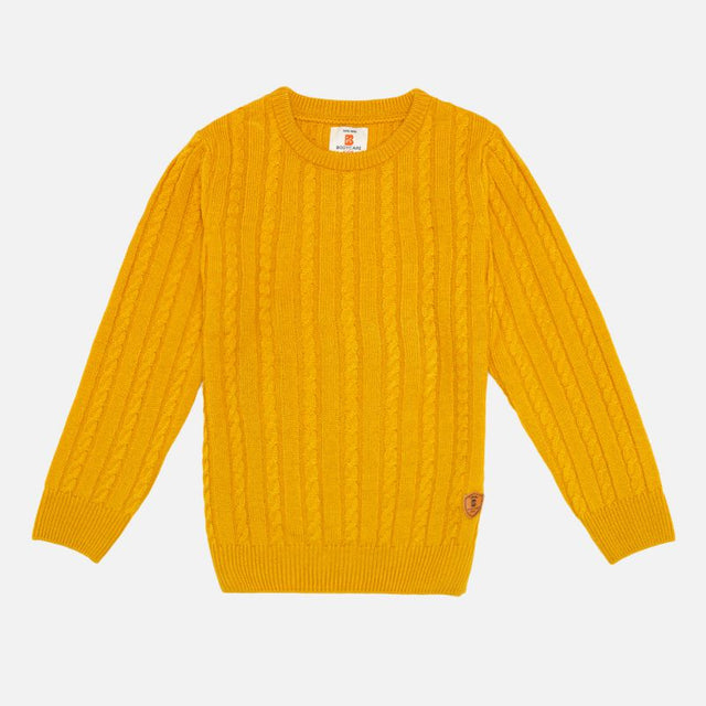 Boys Soft Cotton Blend Sweater for Winter Wear, Warm Comfort, Casual Styling and Wardrobe Essentials