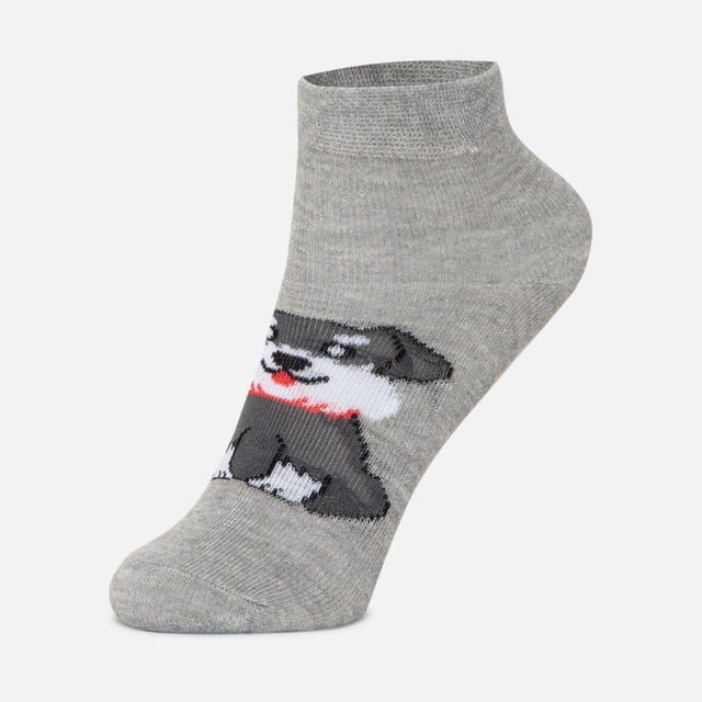 Boys Ankle Length Cotton Blend Socks Pack of 4 - Bodycare
