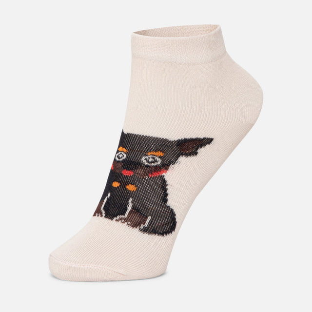 Boys Ankle Length Cotton Blend Socks Pack of 4 - Bodycare