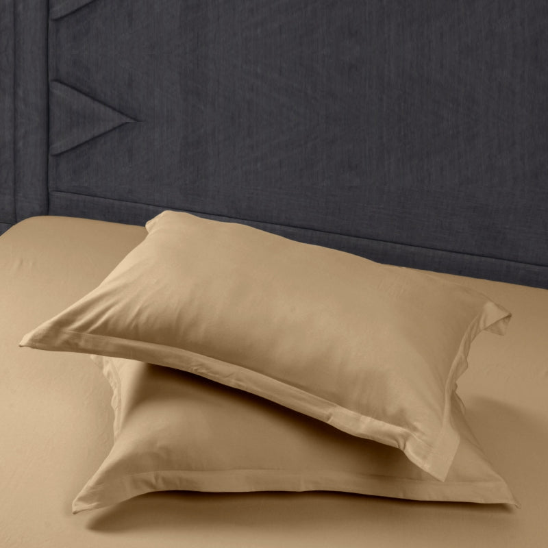 Bodycomfy 100% Cotton Hosiery Single Bed Fitted Bedsheet – Solid