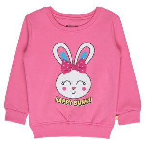 Enchanting Aurora Pink Baby Girls Sweatshirt!