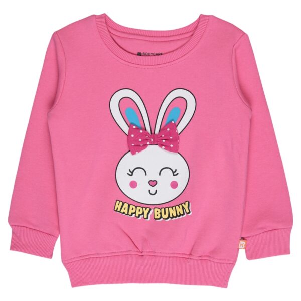 Enchanting Aurora Pink Baby Girls Sweatshirt!